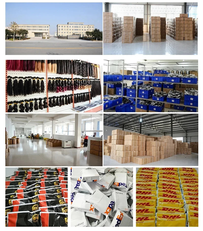 Short Curly Bob Lace Wigs 100% Human Hair 13x4 200% Density Lace Curly Wigs For Women 99J Red Deep Wave Wigs Pre Plucked