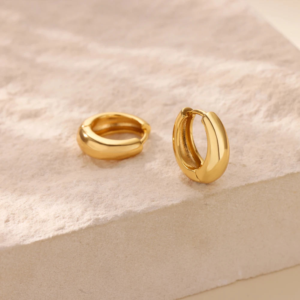 Classic Hoop Earrings for Women Girls Gold Color Chunky Stainless Steel Earrings 2025 Trend New in Minimalist Ear Jewelry aretes