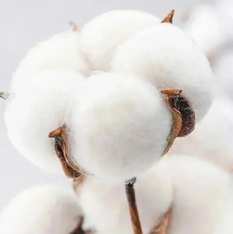 2025 Nnew Aesthetics Letter Print Baby Tees Female Y2K Clothes Star Tops Women Tshirt Harajuku Retro Summer Gothic Crop Top