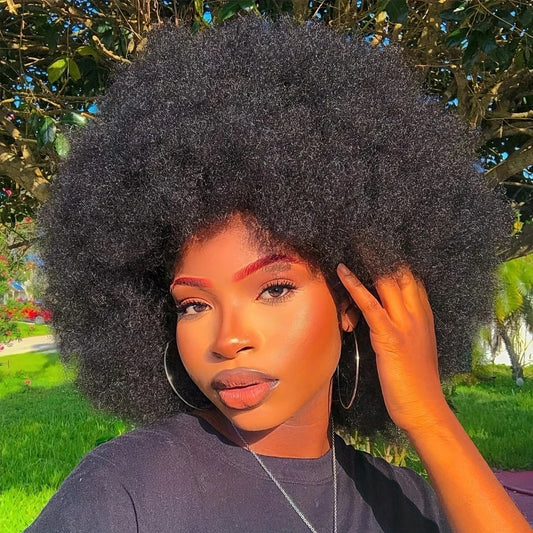 Afro Wigs for Black Women 14 Inch 70s Afro Kinky Curly Bouncy Fluffy Puff Synthetic Wig Ideal for Cosplay Daily & Party