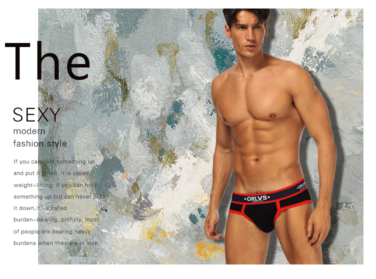 ORLVS New Cotton Comfortable Mens Briefs Underwear Shorts Male Underwear Sexy Gay Men Underwear Bikini Men Briefs Underwear Man