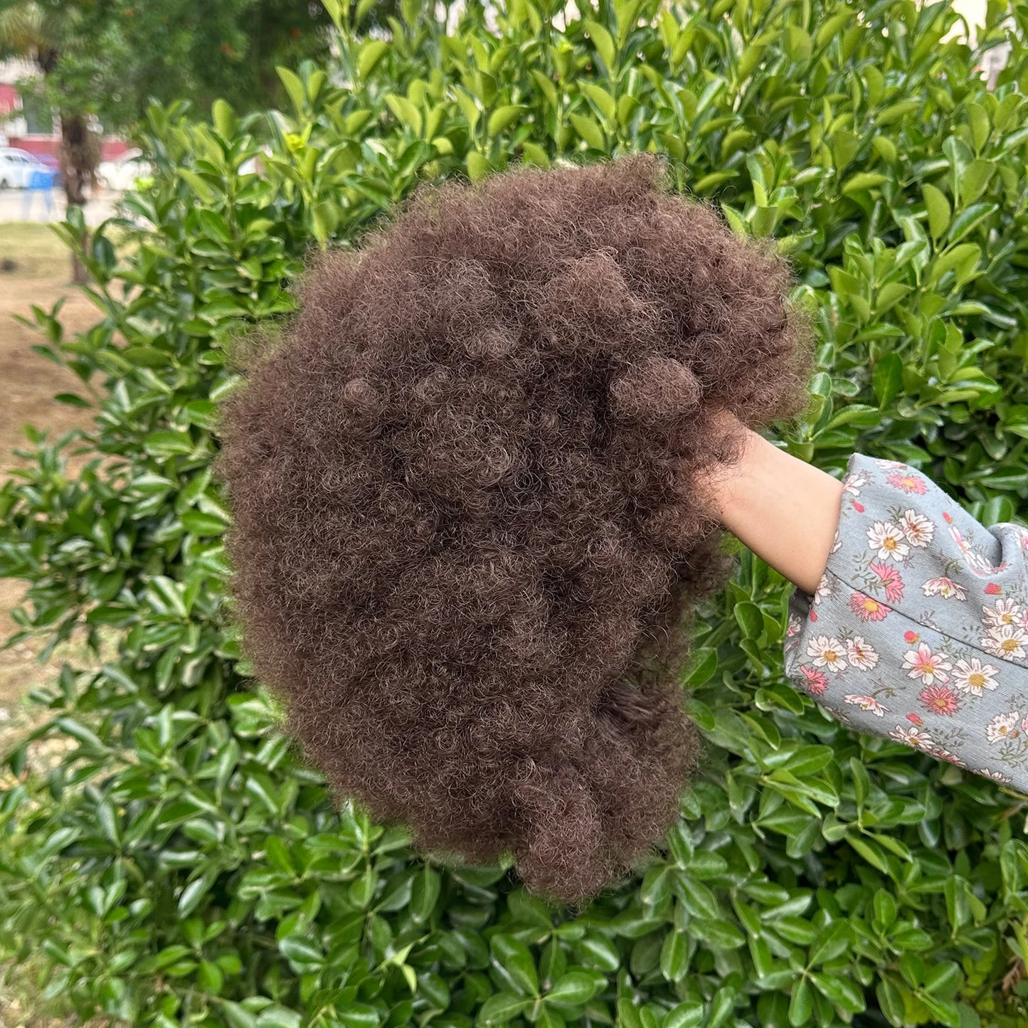 Afro Wigs for Black Women 14 Inch 70s Afro Kinky Curly Bouncy Fluffy Puff Synthetic Wig Ideal for Cosplay Daily & Party