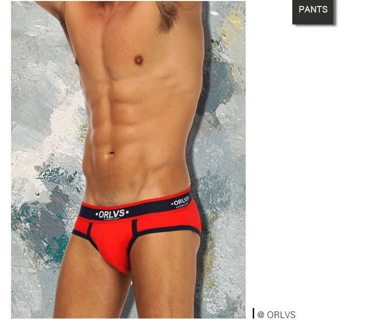 ORLVS New Cotton Comfortable Mens Briefs Underwear Shorts Male Underwear Sexy Gay Men Underwear Bikini Men Briefs Underwear Man