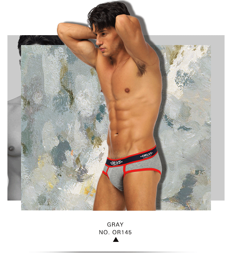 ORLVS New Cotton Comfortable Mens Briefs Underwear Shorts Male Underwear Sexy Gay Men Underwear Bikini Men Briefs Underwear Man