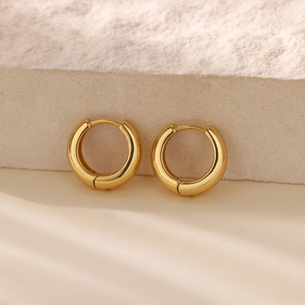 Classic Hoop Earrings for Women Girls Gold Color Chunky Stainless Steel Earrings 2025 Trend New in Minimalist Ear Jewelry aretes