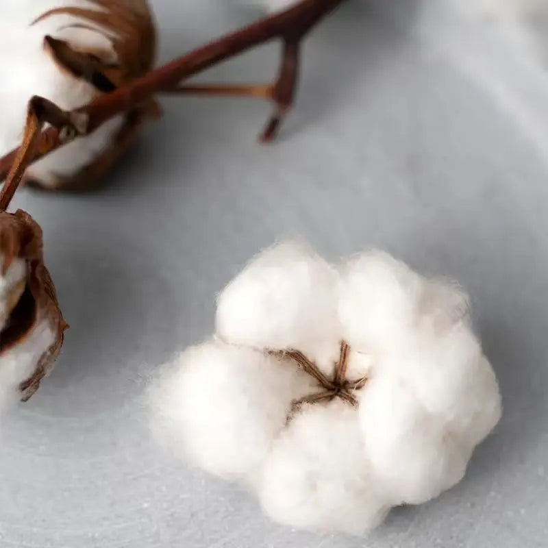 Joost Klein Unity New Album Men Women Harajuku Pop Clothes Hip Hop Retro Tops Cotton Comfortable Short Sleeve Tees Y2K Summer