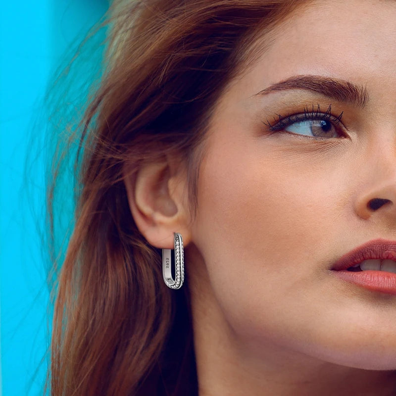 2025 New 925 Sterling Silver Hoop Earrings Flowers Zircon Drop Earrings Stud For Woman Fine Birthday Wedding Party Jewelry Gifts