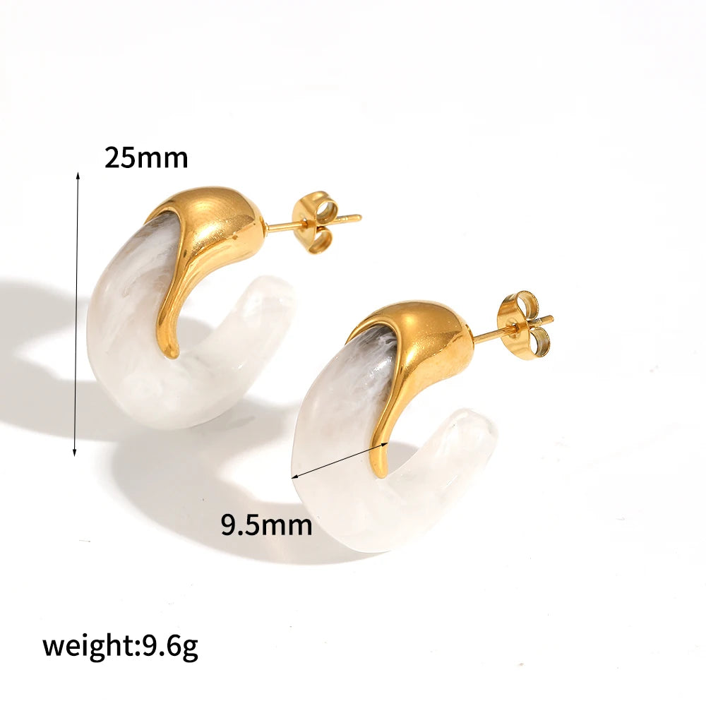 2025 New Design Brown Resin Geometric Shape Earrings Stainless Steel 18k Gold-plated Ear Studs for Women