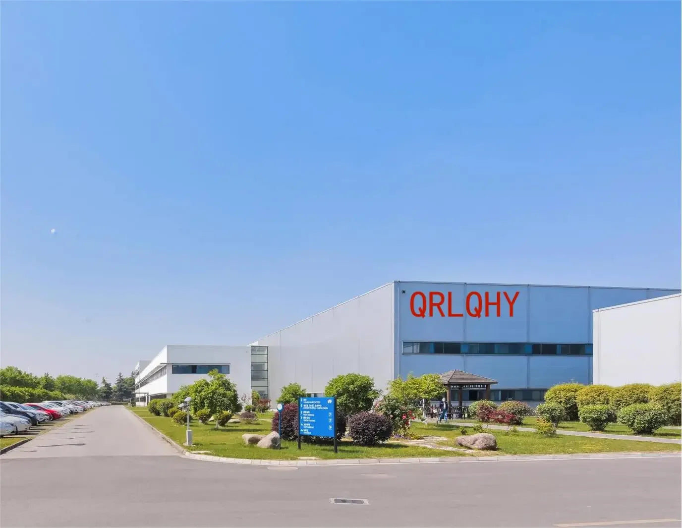 Women’s Pattern Canvas Sneakers  Casual Flat Lace-Up Shoes Zapatillas Mujer Chaussure Femme