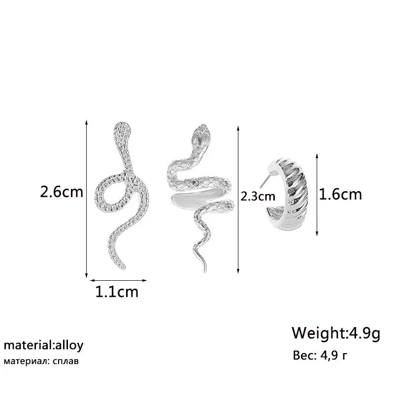 3pcs/set Women Stud Earrings Set Silver Color Snake Shape Earrings European Hiphop Style Earrings Personality Ear Jewelry