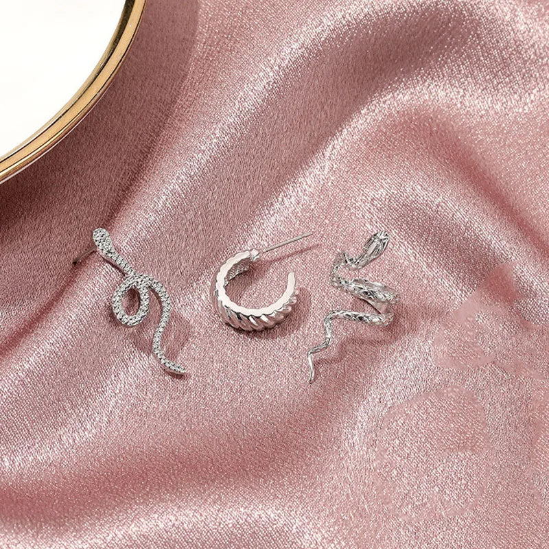 3pcs/set Women Stud Earrings Set Silver Color Snake Shape Earrings European Hiphop Style Earrings Personality Ear Jewelry