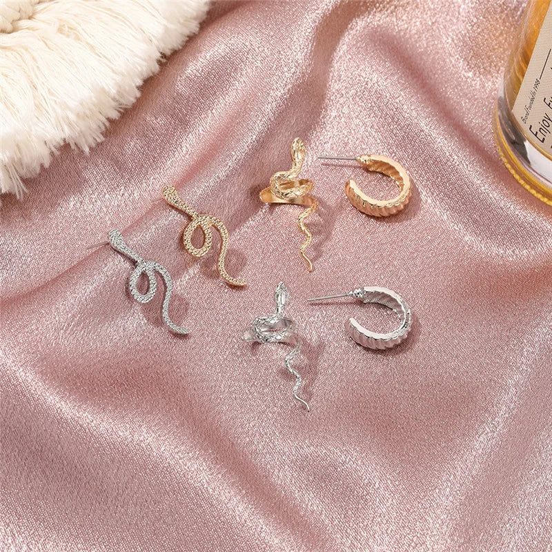 3pcs/set Women Stud Earrings Set Silver Color Snake Shape Earrings European Hiphop Style Earrings Personality Ear Jewelry