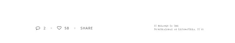 Premium Pearl Stereoscopic Square Pendant Earrings 2025 New Fashion Jewelry For Women‘s Eardrop party Girl’s Luxury Accessories