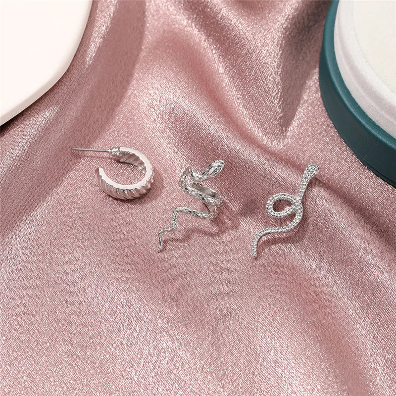 3pcs/set Women Stud Earrings Set Silver Color Snake Shape Earrings European Hiphop Style Earrings Personality Ear Jewelry