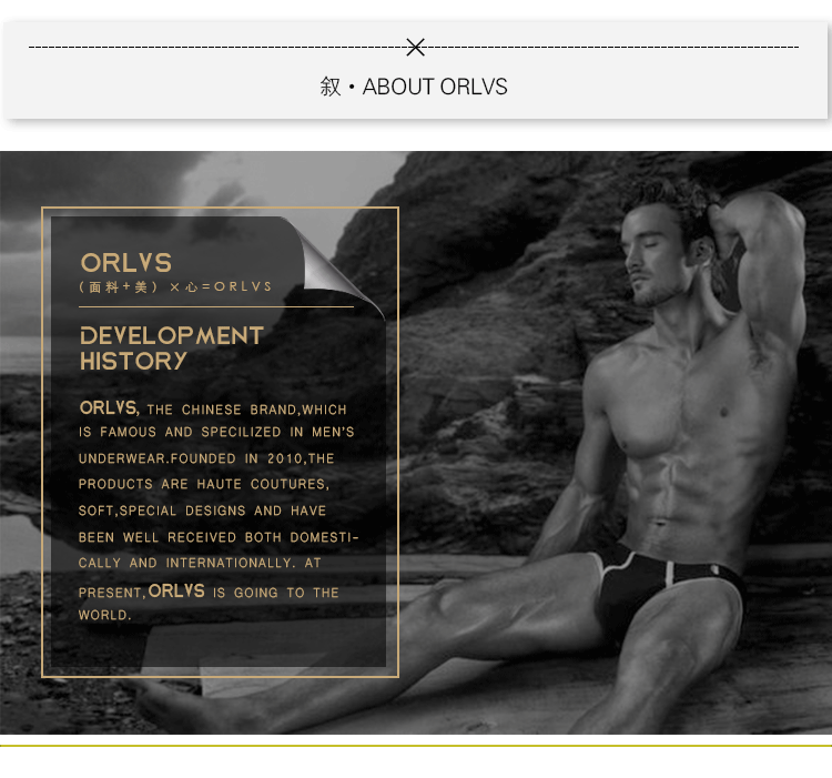 ORLVS New Cotton Comfortable Mens Briefs Underwear Shorts Male Underwear Sexy Gay Men Underwear Bikini Men Briefs Underwear Man