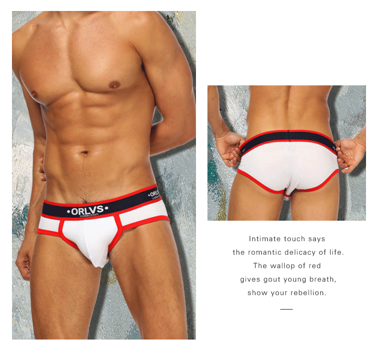 ORLVS New Cotton Comfortable Mens Briefs Underwear Shorts Male Underwear Sexy Gay Men Underwear Bikini Men Briefs Underwear Man