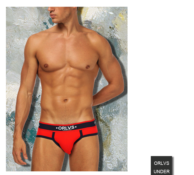 ORLVS New Cotton Comfortable Mens Briefs Underwear Shorts Male Underwear Sexy Gay Men Underwear Bikini Men Briefs Underwear Man